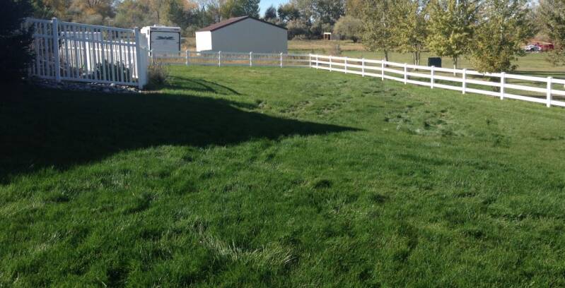 Restored septic field near residential property with healthy lawn and visible fence line
