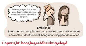 Overexcitabilities, copyright; hoogbegaafdheiduitgelegd