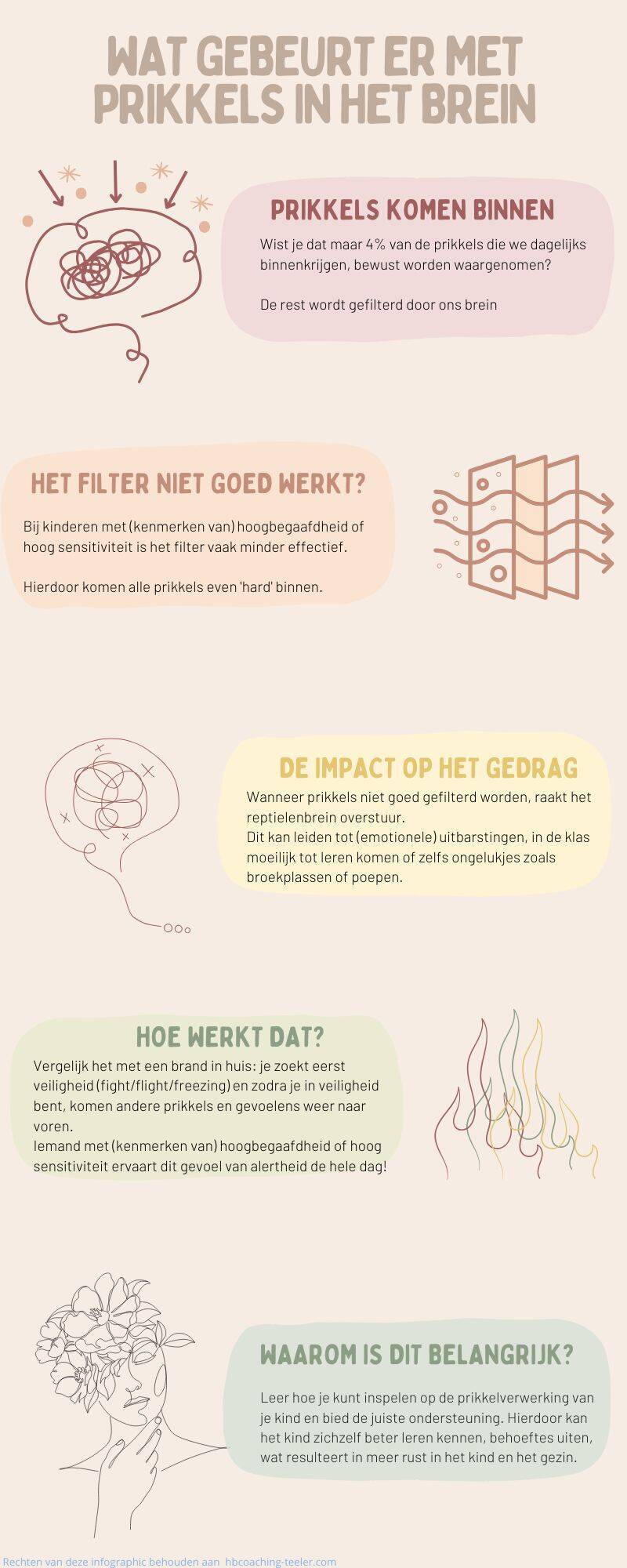 Infographic prikkelverwerking