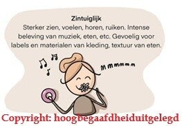 Overexcitabilities, copyright; hoogbegaafdheiduitgelegd