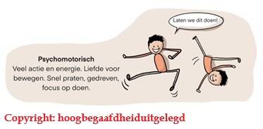 Overexcitabilities, copyright; hoogbegaafdheiduitgelegd