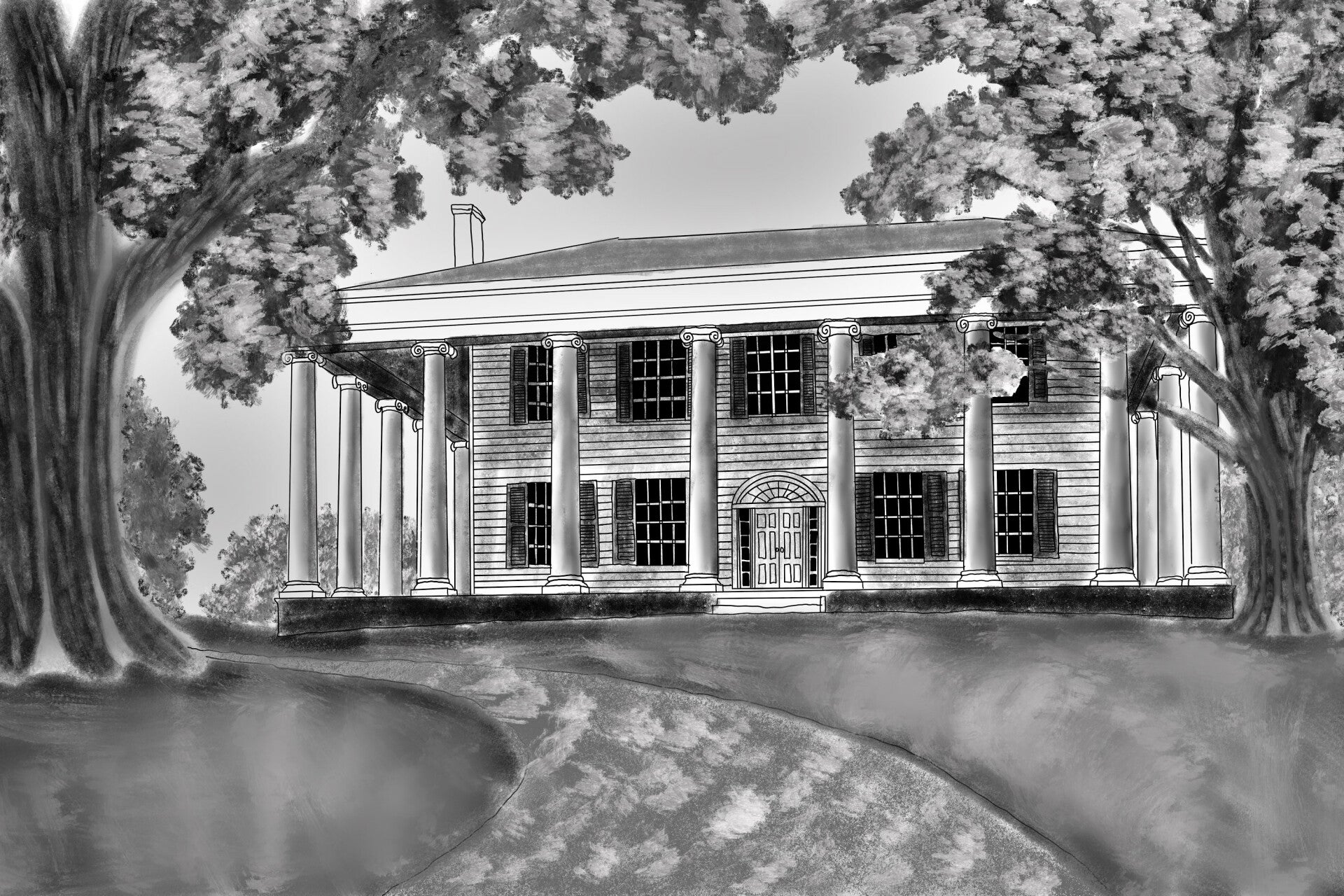The Forks of Cypress