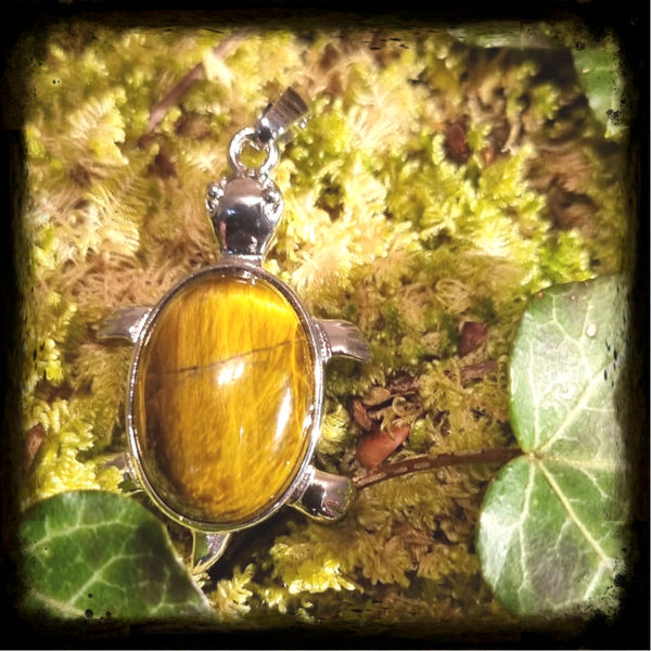 Schildkröte Anhänger