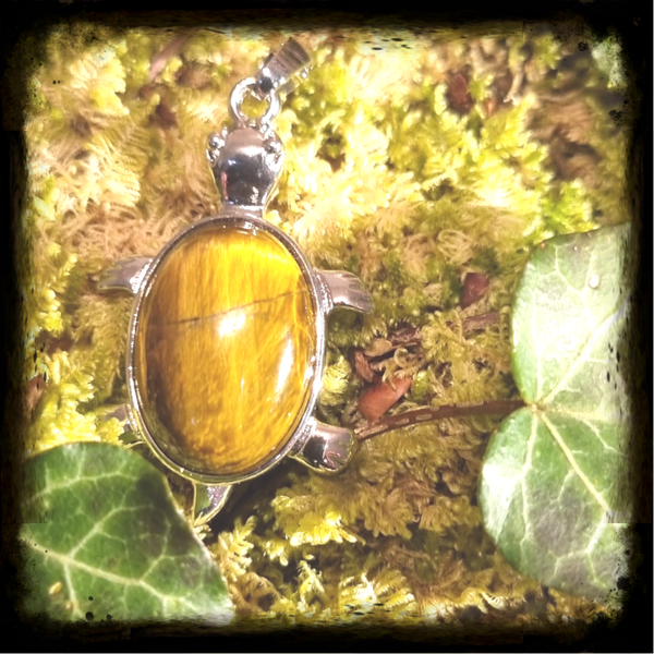 Schildkröte Anhänger