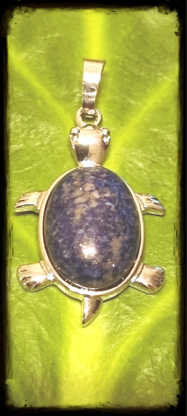 Schildkröte Anhänger