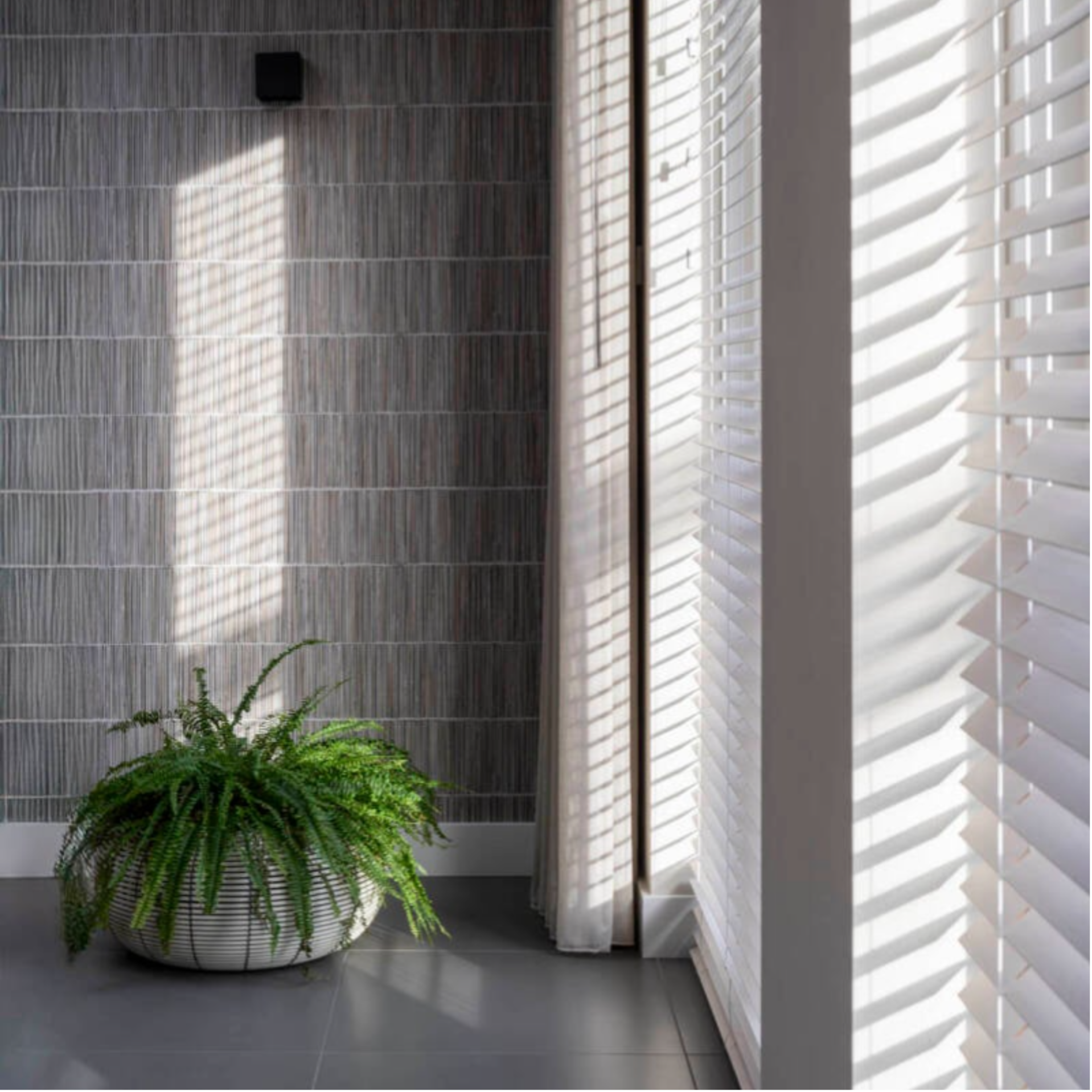 Interieurfoto waarop lichtinval van jaloeziën  schaduw geven op de muren op de grond is een kamerplant met varen zichtbaar