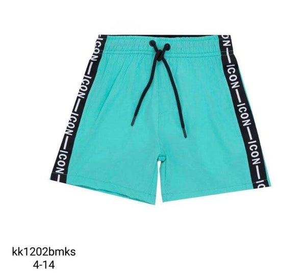 Icon Swim Short (Turquoise)