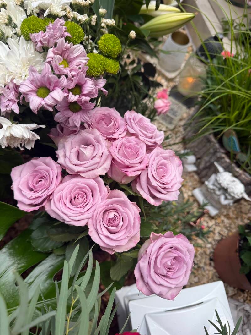 diese Rosen sind von Lisa-Marie 💖
