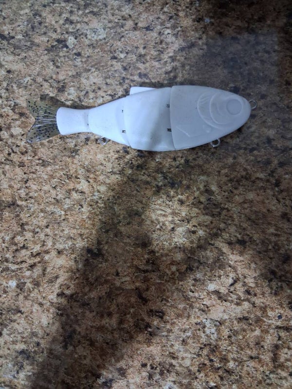 You chose coustom painted swimbait 6inch