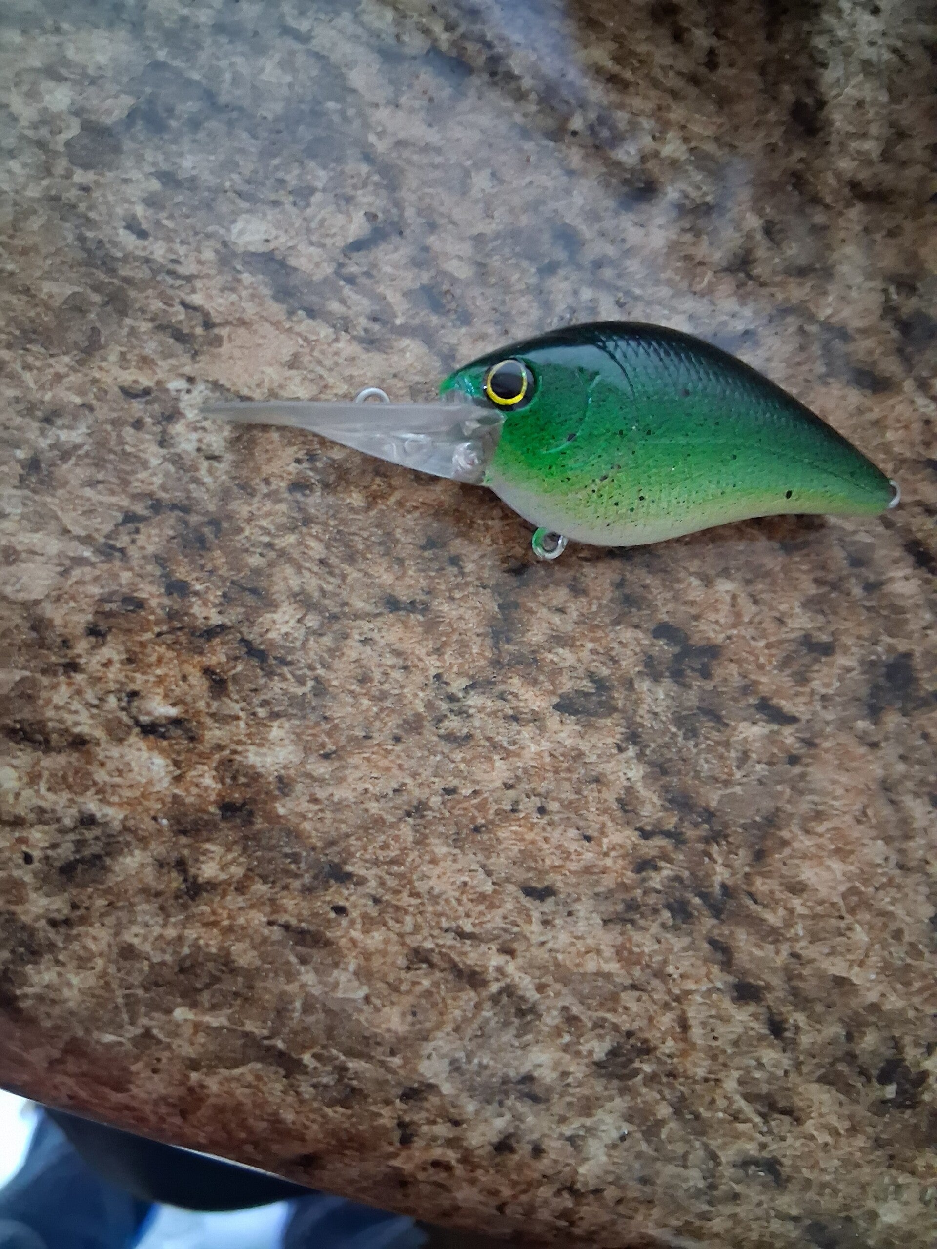 Baby bass coustom painted medium diving crankbait