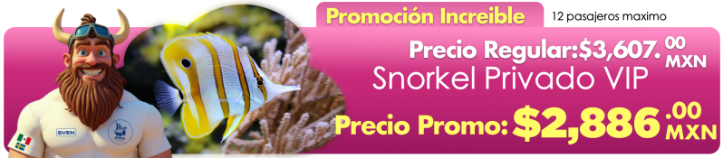 Isla Mujeres VIP Premium Tour Promotion