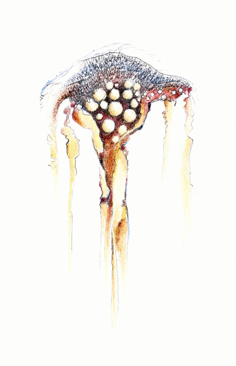 float-2026-a3-1