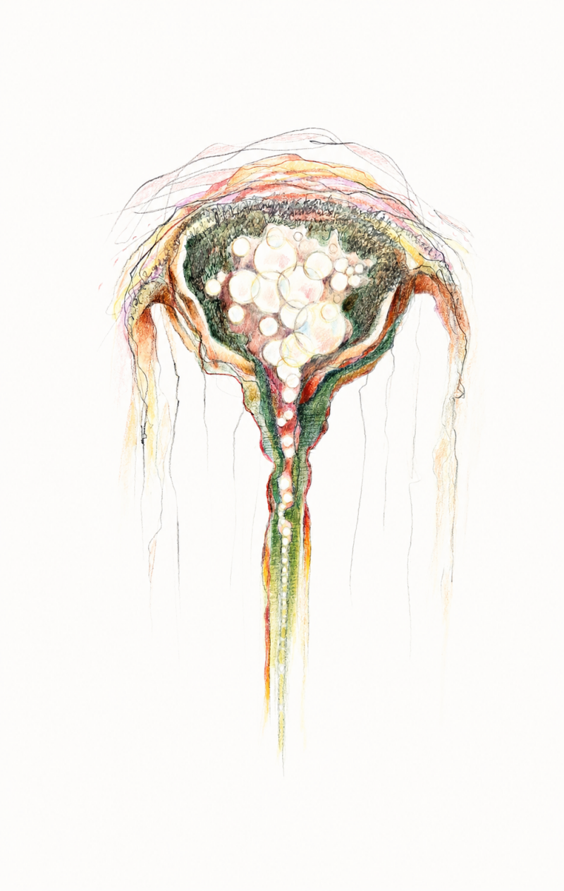float-2026-a3 5