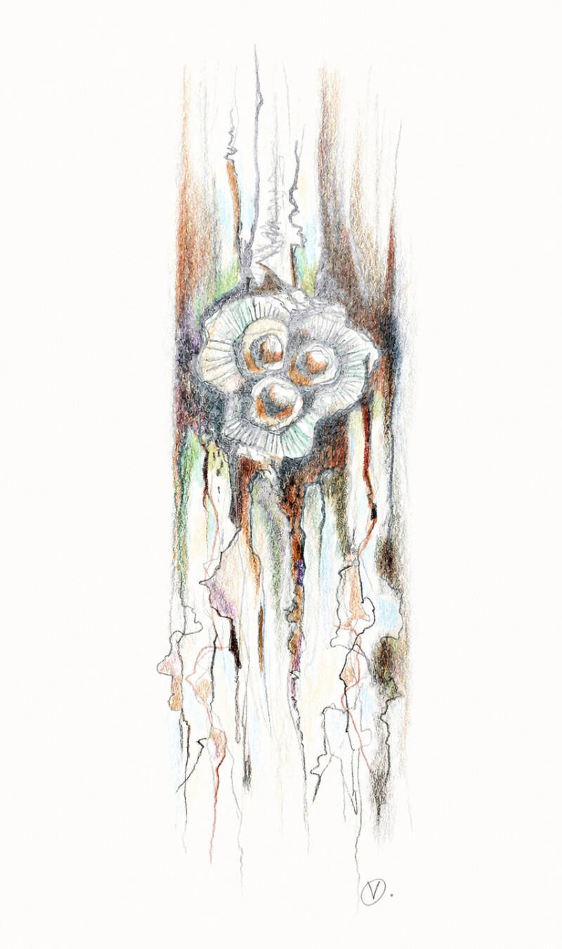 flow-a4-2026-1