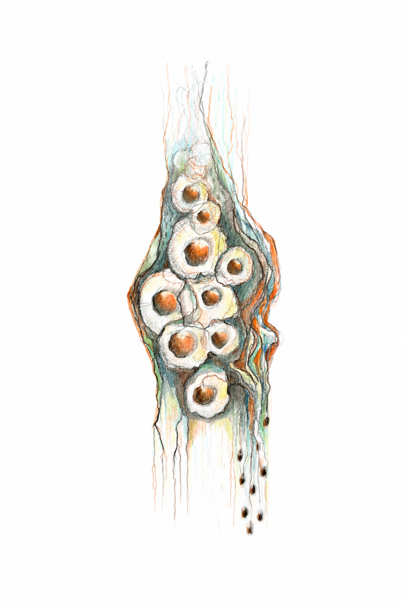 flow-a4-2026-10-