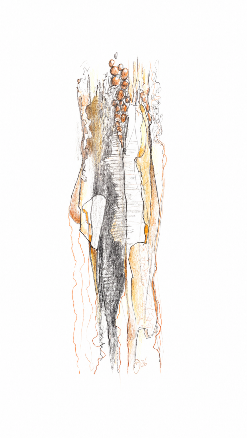 flow-a4-2026-16-