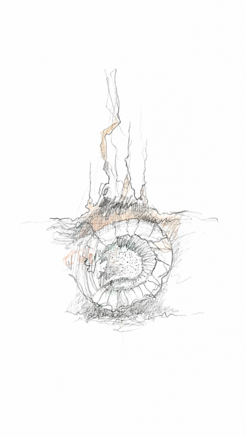 flow-a4-2026-2-