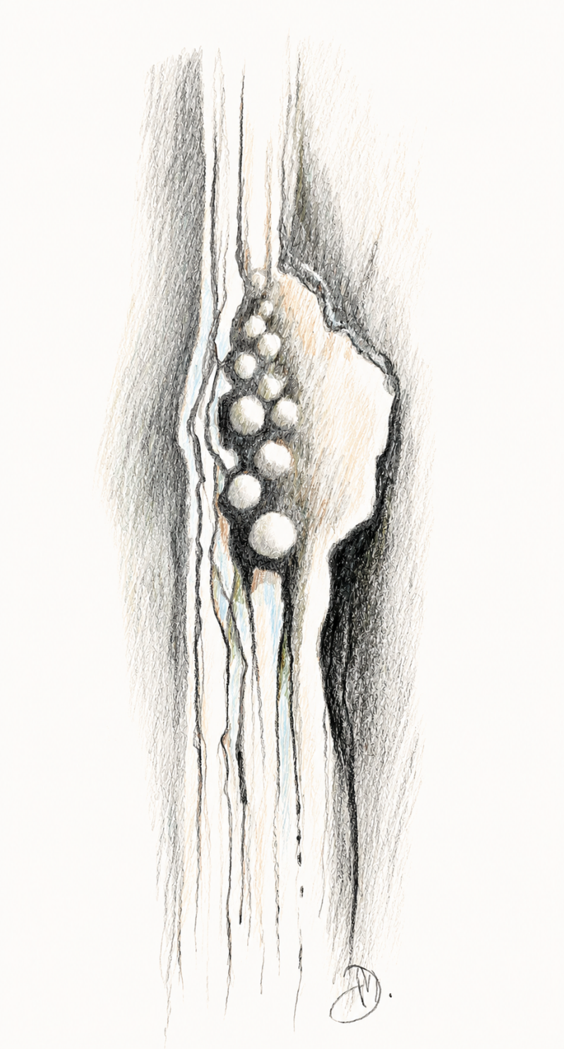 flow-a4-2026-3-
