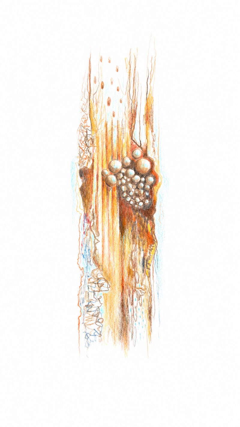 flow-a4-2026-4-