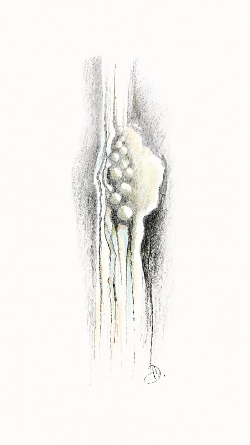 flow-a4-2026-4-
