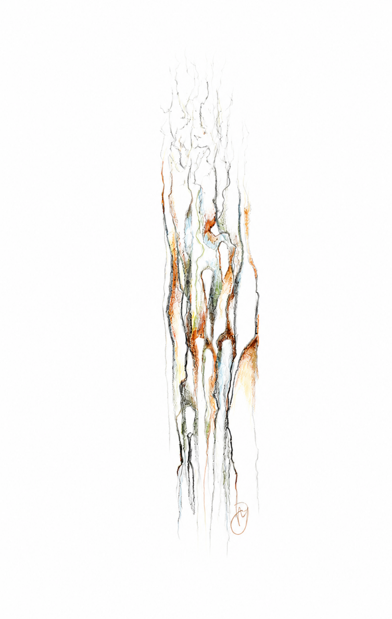 flow-a4-2026-5-