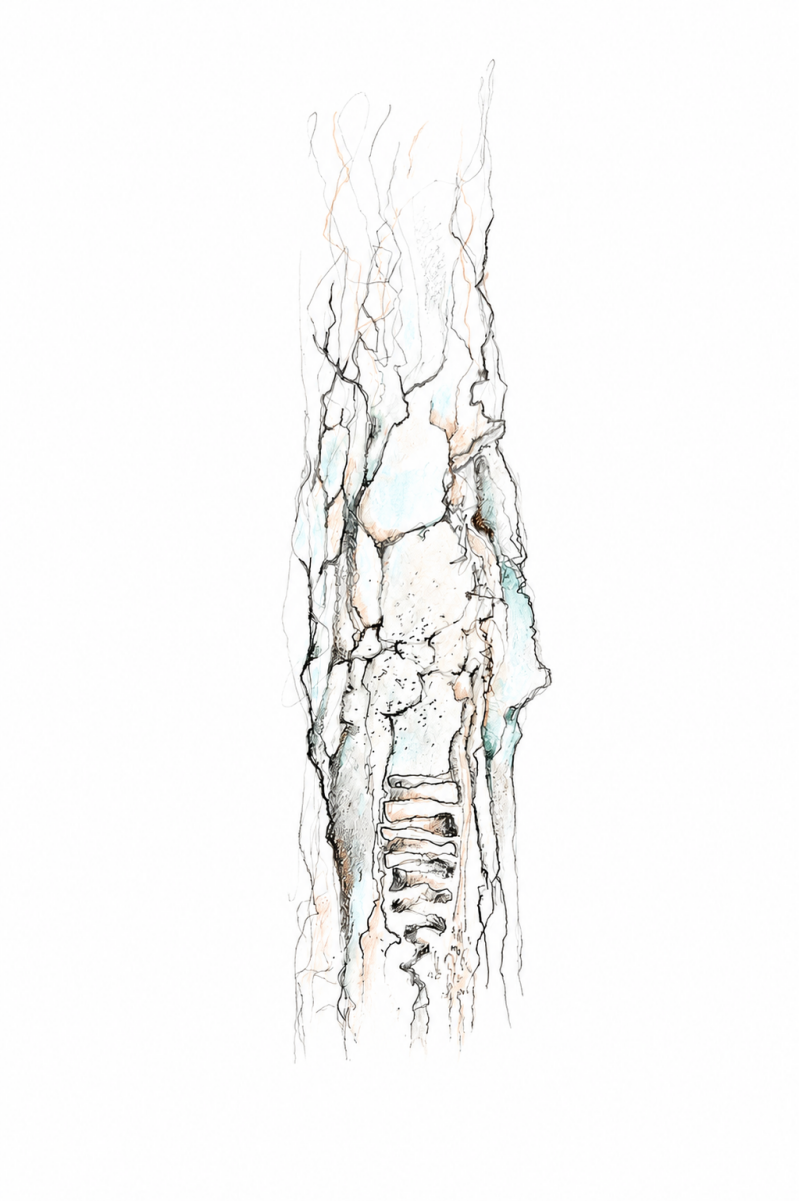 flow-a4-2026-6-