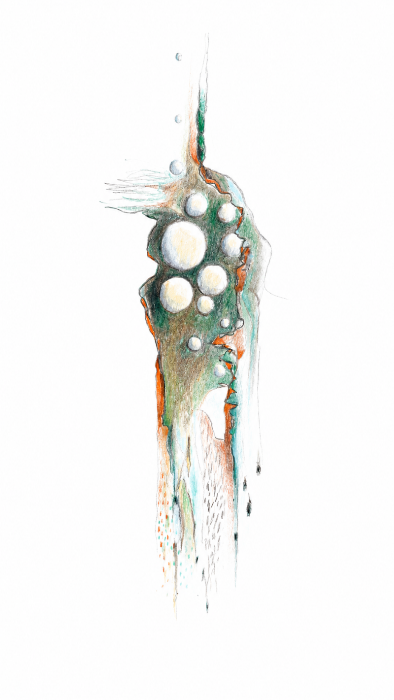 flow-a4-2026-8-