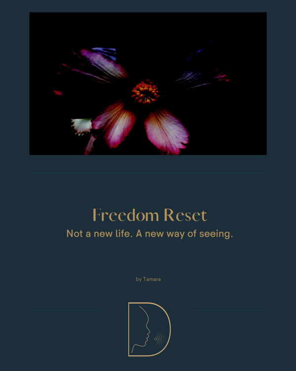 Freedom Reset