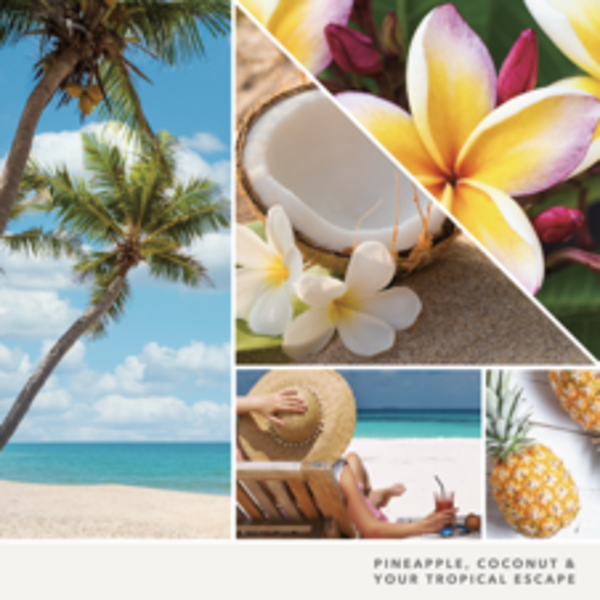 Yankee Candle - Coconut Beach - Signature Collection