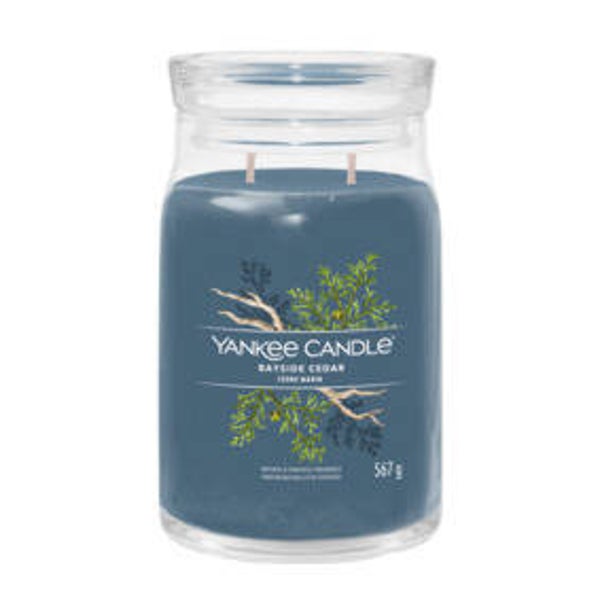 Yankee Candle - Bayside Cedar - Signature Collection