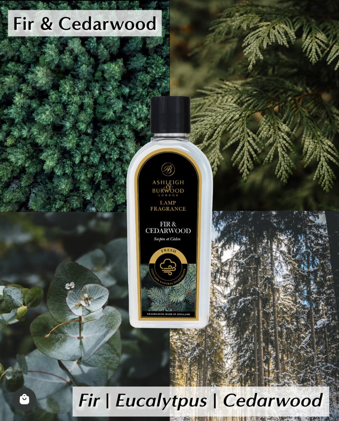 Ashleigh & Burwood fragrance oil - Fir & Cedarwood 500ml