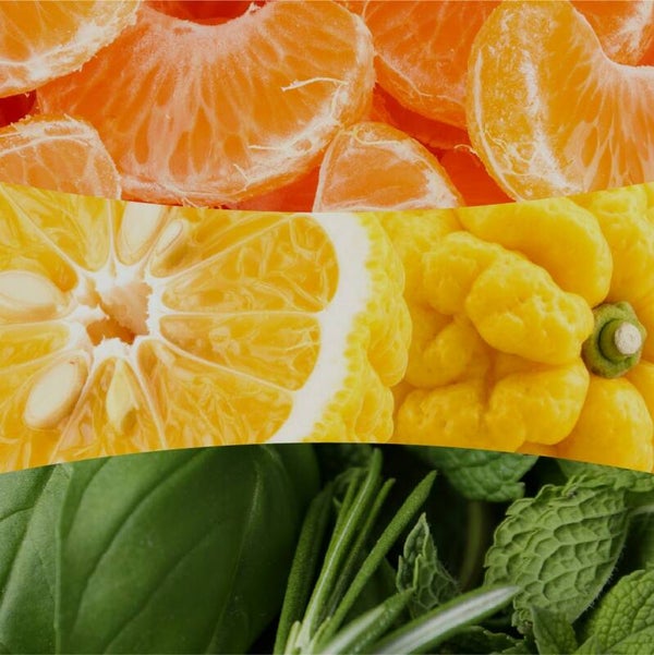 Woodwick - Tangerine & Citron - verschillende formaten