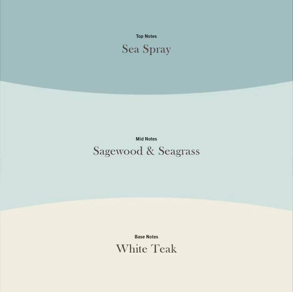 Woodwick - Driftwood Shores - Trilogy - verschillende formaten