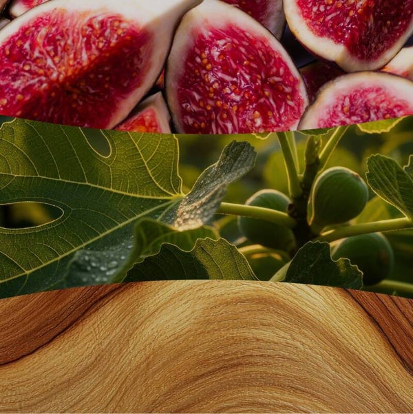 Woodwick - Verdant Fig - verschillende formaten