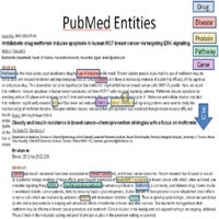 asi23256-fig-0003-m.jpg