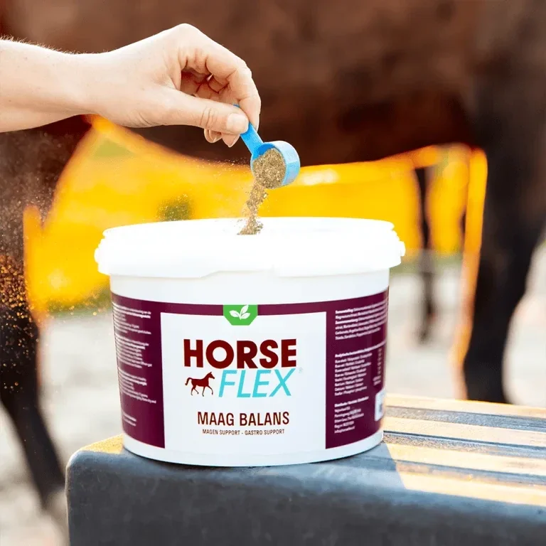 HorseFlex- Maag Balans - 800g