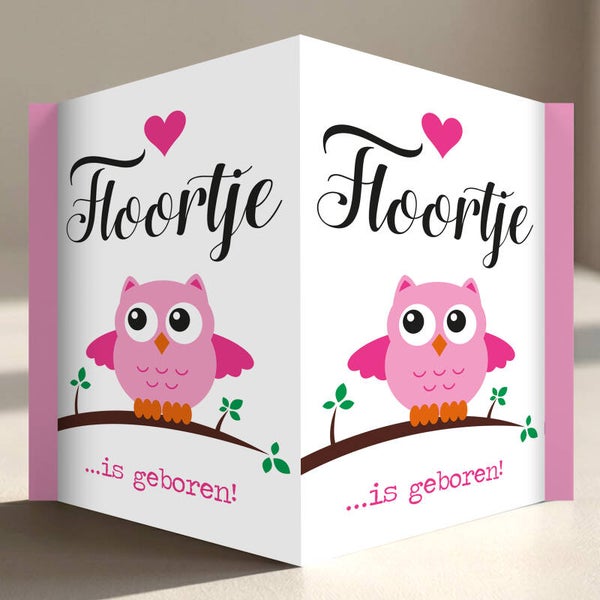 Geboortebord raam | Uiltje | Meisje