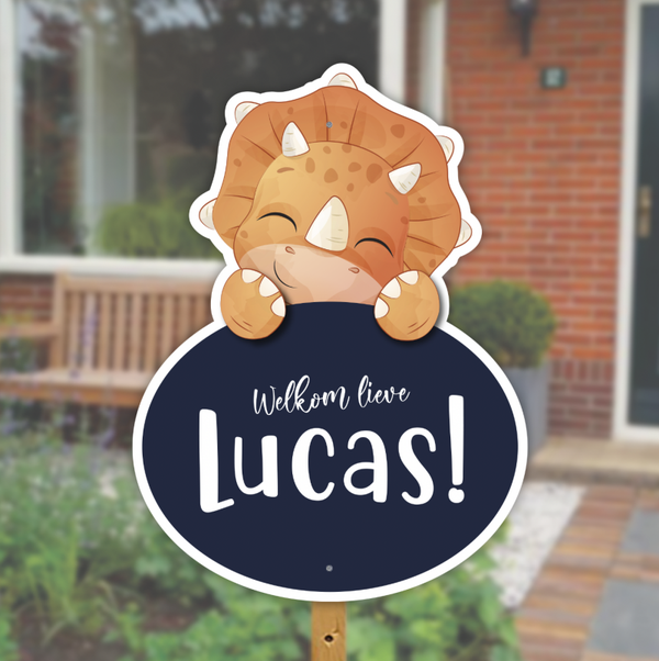 Geboortebord dino triceratops jongen