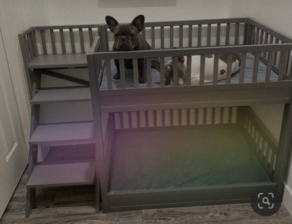 Dog Bunk beds