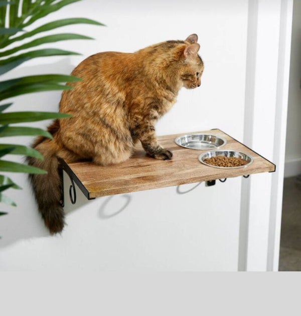 Cat Wall Stairs