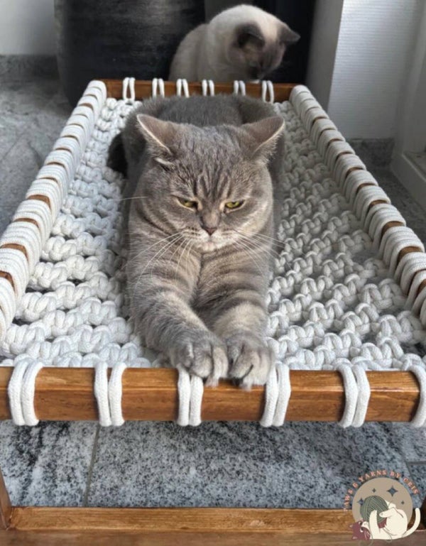 Cat Hammock Beds