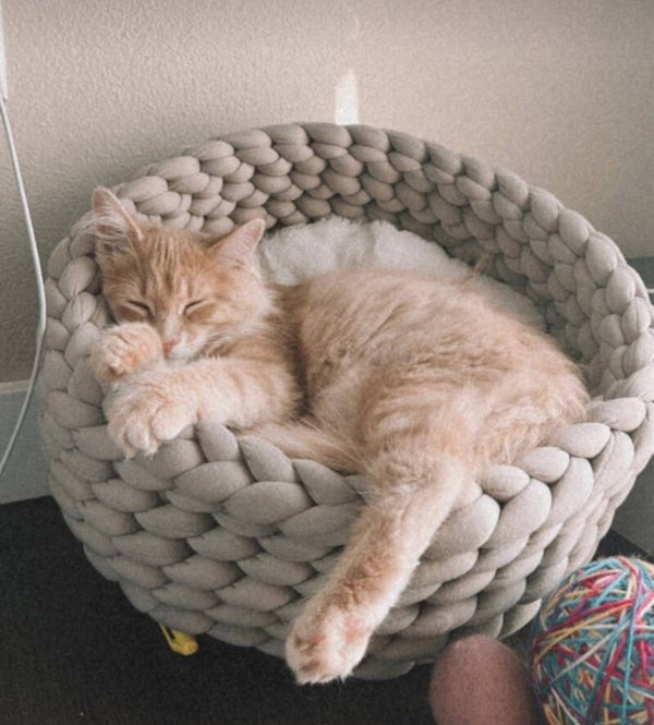 Knitted Bed