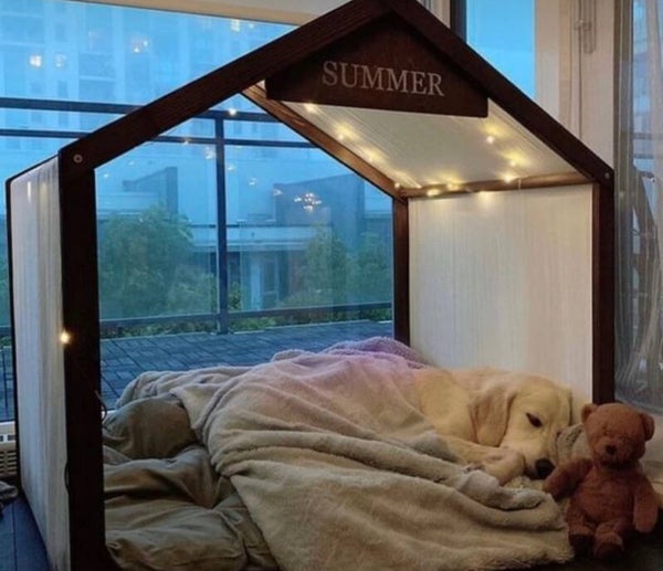 Pet Bed Custom