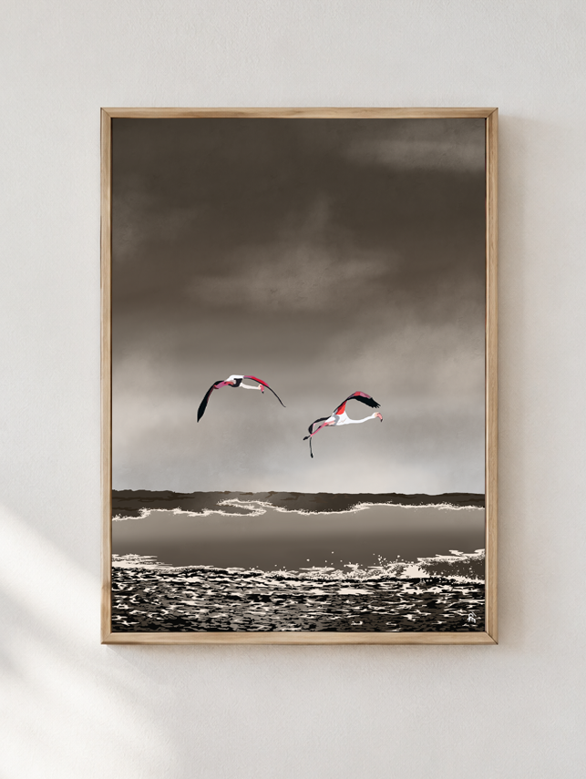 Migration des flamants