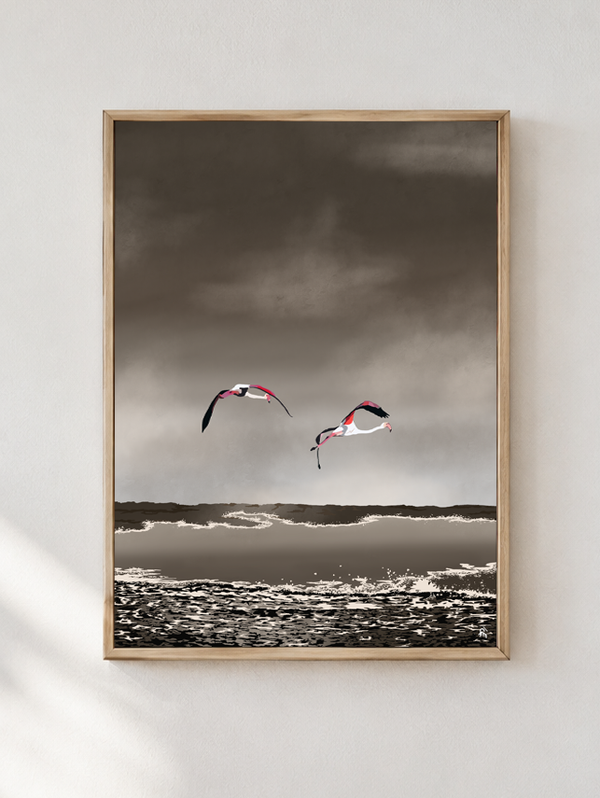 Migration des flamants