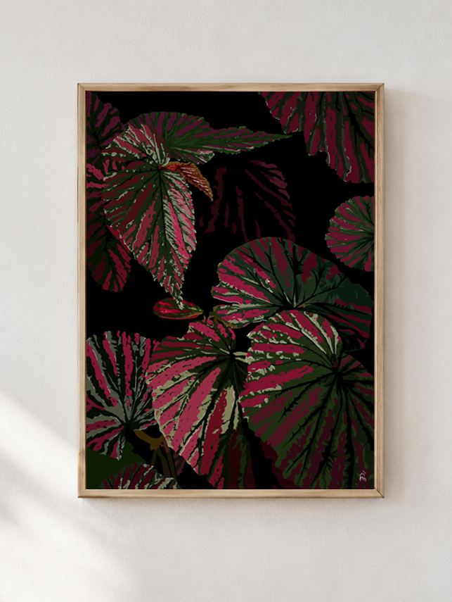Éclat de Caladium