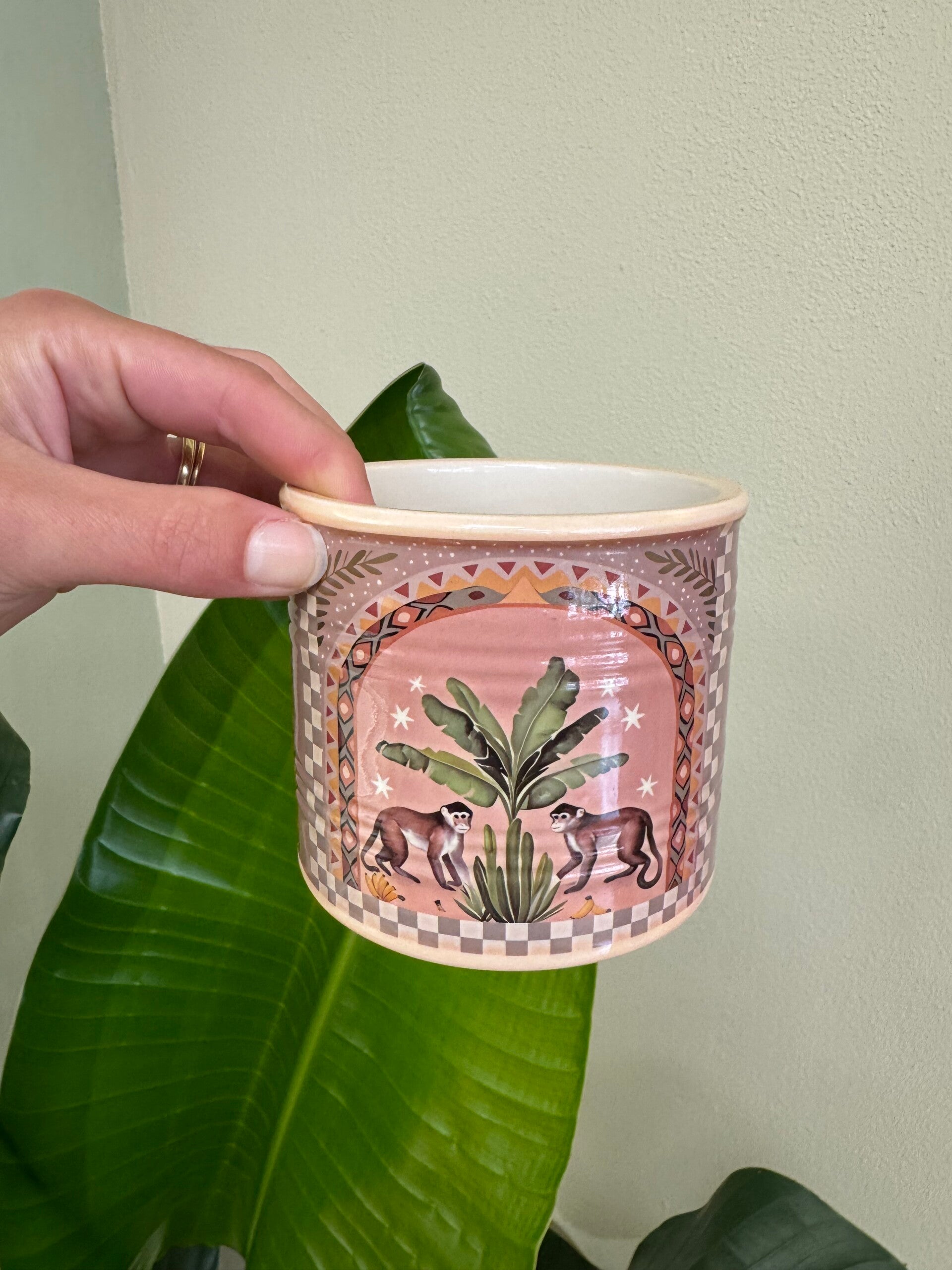 Monkey Jungle pot