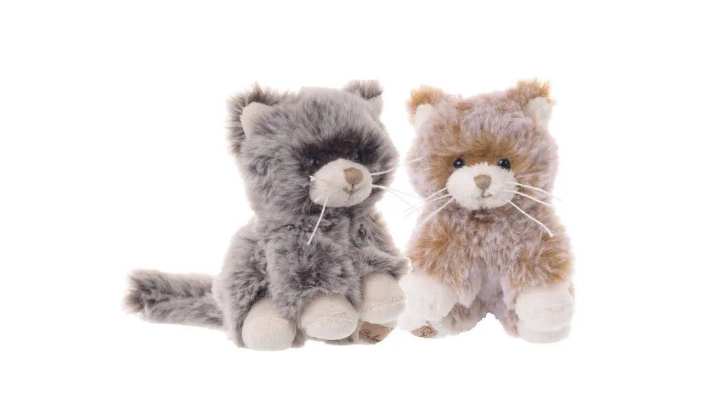 Kitty & Timothy & Catty KR