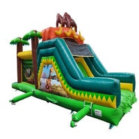 jungle-2-standard.jpg