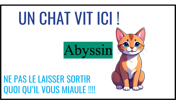 sticker un chat vit ici !
